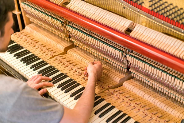 Processo Afinação Piano Close Mão Ferramentas Afinador Trabalhando Piano Cauda — Fotografia de Stock