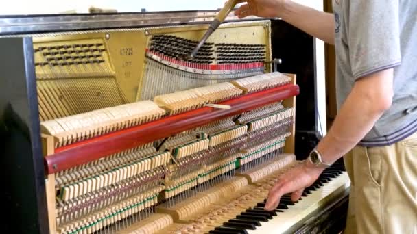 Detaljert bilde av Upright Piano under en avstemning. nærbilde av hender og tungerverktøy som arbeider på flygel. Mesteren synger pianoet – stockvideo