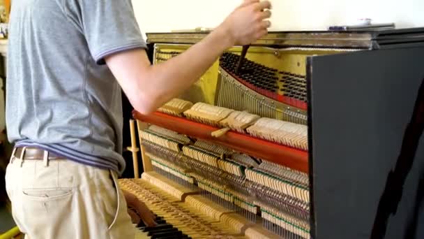 Detaljert bilde av Upright Piano under en avstemning. nærbilde av hender og tungerverktøy som arbeider på flygel. Mesteren synger pianoet – stockvideo