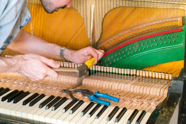 Piano tuning process. closeup of hand and tools of tuner working on grand piano. Detailed view of Upright Piano during a tuning.