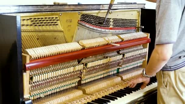 Akort sırasında Upright Piano 'nun detaylı görüntüsü. Büyük piyanoda çalışan el ve akort aletlerinin yakın çekimi. Usta piyanoyu akort eder — Stok video