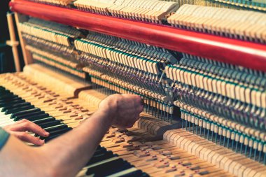 Piyano akort işlemi. Büyük piyanoda çalışan el ve akort aletlerinin yakın çekimi. Akort sırasında Upright Piano 'nun detaylı görüntüsü. ses tonlu.