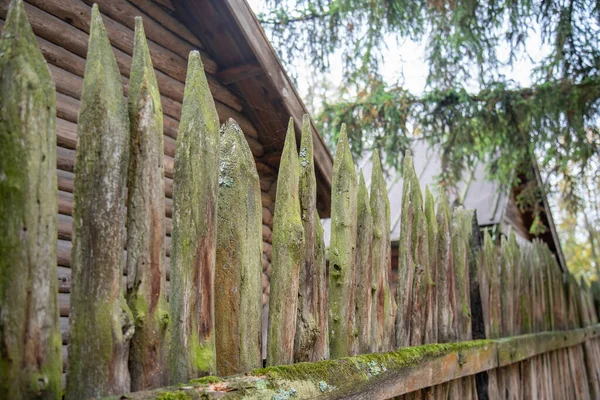 ancient style wooden wall Palisade. High wooden antique palisade. Fence made of sharp wooden stakes on the background of logs. ancient style wooden wall Palisade.
