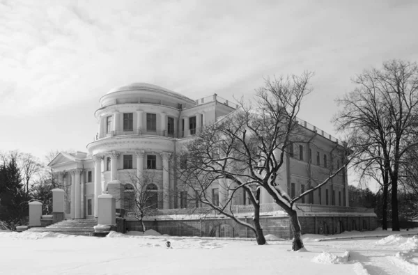 Passeio Inverno Pela Ilha Elagin São Petersburgo Palácio Elagin — Fotografia de Stock