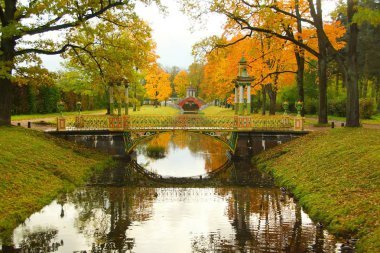 Bir sonbahar sabahı Tsarskoye Selo, Çin köprü Alexander parkta yürüyüş