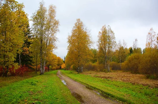 Spaziergang Einem Herbstmorgen Babolowski Park Zarskoje Selo — Stockfoto