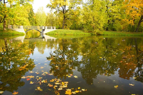 Caminar Una Mañana Otoño Parque Alexander Tsarskoye Selo Pequeño Puente — Foto de Stock