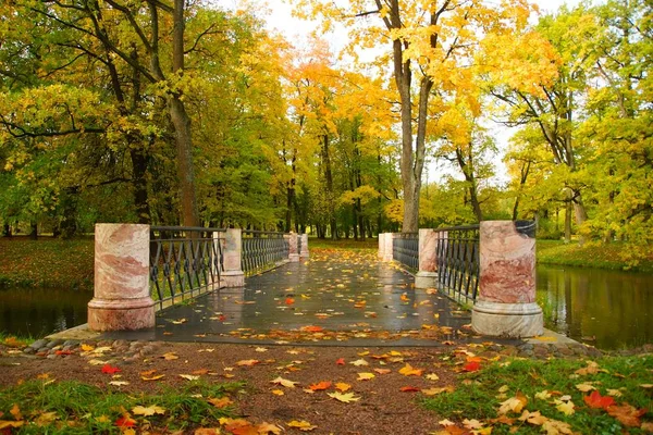 Passeggiata Una Mattinata Autunnale Nel Parco Alexander Tsarskoye Selo Piccolo — Foto Stock