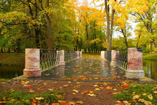 Caminar Una Mañana Otoño Parque Alexander Tsarskoye Selo Pequeño Puente —  Fotos de Stock