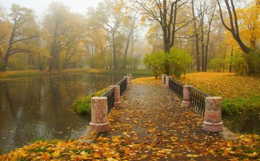 Sonbahar sabahı ve Alexander Park St. selo Bridge'de