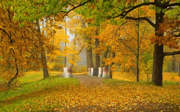 Mattina Autunno Ponte Nel Parco Alexander Zarskoe Selo — Foto Stock