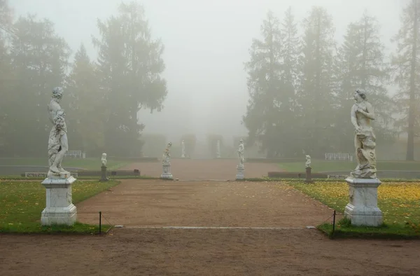 霧の朝とセローの Tsarskoe 公園キャサリン公園の彫像 — ストック写真