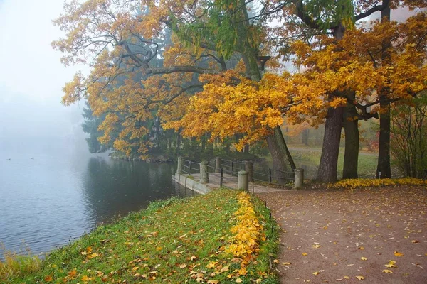 Nebel Und Herbstmorgen Katharinenpark Zarskoje Selo — Stockfoto