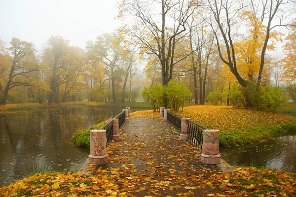 Manhã Outono Ponte Parque Alexander Tsarskoe Selo — Fotografia de Stock