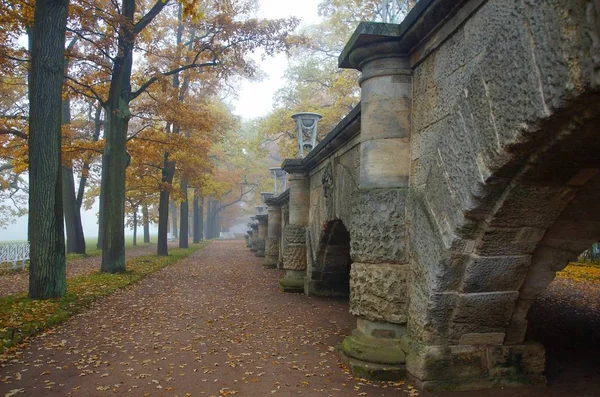 10月雾晨在凯瑟琳公园国立 Selo 通往金马仑画廊和玛瑙厅的路 — 图库照片