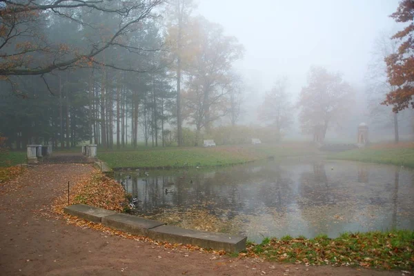 Mistige Ochtend Van Oktober Het Catherine Park Tsarskoe Selo Een — Stockfoto