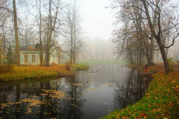 Ruhiger Herbstmorgen Alexandrowski Park Zarskoje Selo Kinderteich Und Kinderinsel — Stockfoto