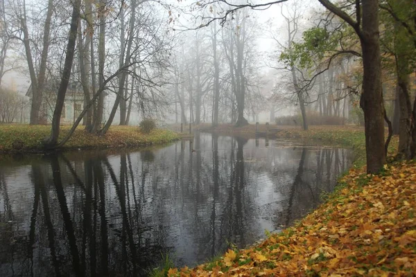 Ciche Dni Jesieni Park Aleksandrowski Siole Staw Dla Dzieci Dla — Zdjęcie stockowe