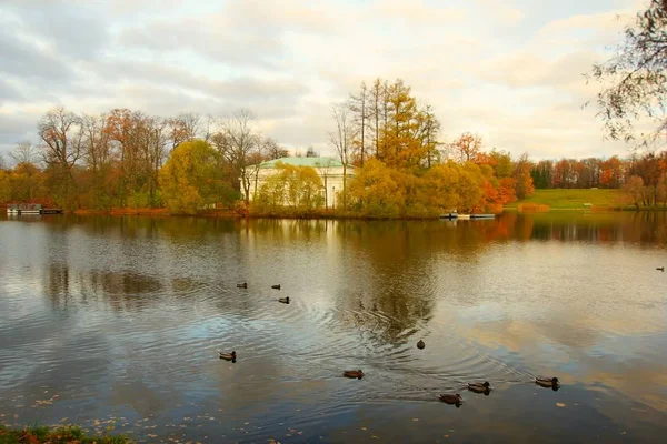 Ruhiger Herbstmorgen Ekaterinskij Park Zarskoje Selo Pavillonhalle Auf Der Insel — Stockfoto