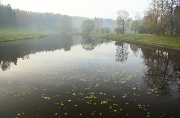 Outubro Manhã Nebulosa Parque Pavlovsk Pavlovsk Rio Slavyanka — Fotografia de Stock