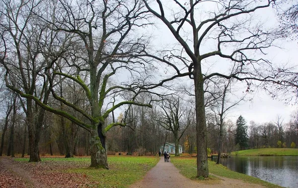 Noite Sombria Novembro Parque Alexander Tsarskoe Selo — Fotografia de Stock