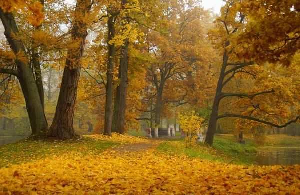 Podzimní Ráno Most Parku Alexander Carskoje Selo — Stock fotografie