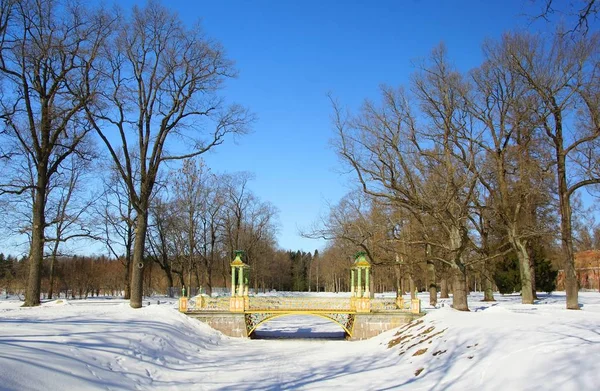 Sunny March Day Puente Chino Alexandrovsky Park Tsarskoe Selo — Foto de Stock