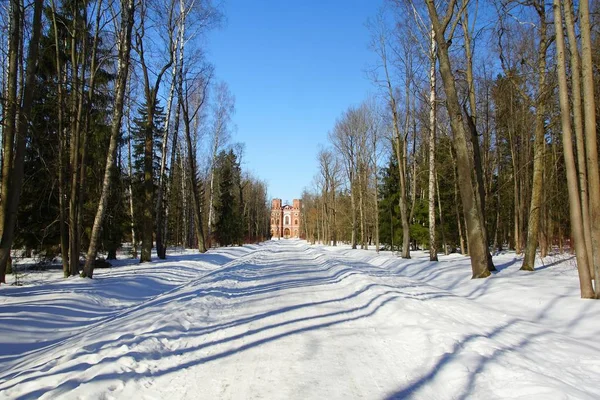 Día Marcha Soleada Pabellón Del Arsenal Alexandrovsky Park Tsarskoe Selo — Foto de Stock