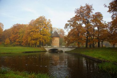 Sonbahar sabahı kabuğu kule ve köprünün Pavlovsk parkında Pavlovsk