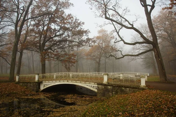 Mistige Ochtend Van Oktober Het Alexander Park Tsarskoe Selo Het — Stockfoto