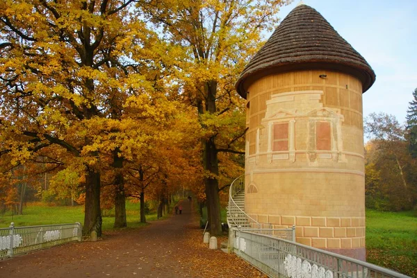 Jesienny Spacer Parku Pavlovsk Pavlovsk Most Pil Wieża — Zdjęcie stockowe