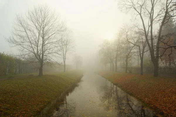 Oktober Nebliger Morgen Alexandrowski Park Zarskoje Selo Dem Kanal Und — Stockfoto