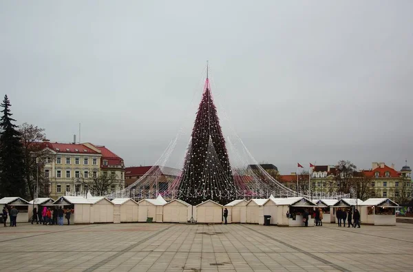 Katedraltorget Och Huvudsakliga Nyår City Trädet Vilnius — Stockfoto