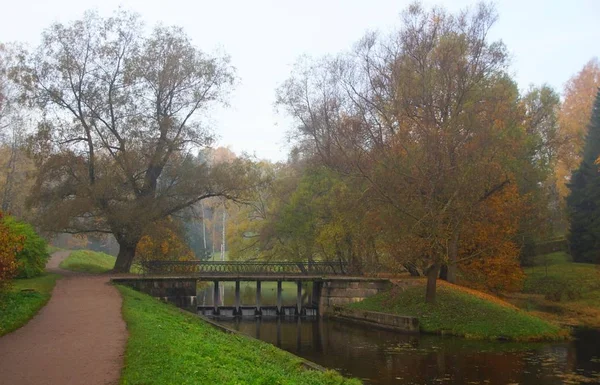 Manhã de outono calma no parque de Pavlovsk — Fotografia de Stock