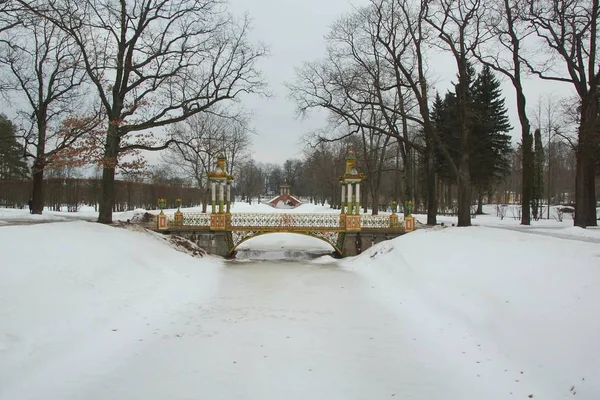 Caminata de marzo en el Parque Alexandrovsky en Tsarskoye Selo — Foto de Stock