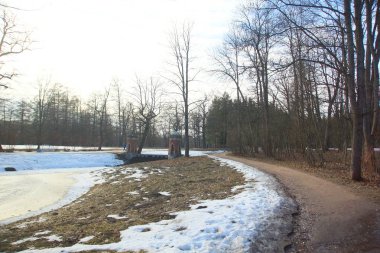 Mart Günü Çarskoye Selo Catherine Park üzerinden yürüyüş