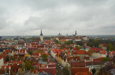 Eski Tallinn Çatıları