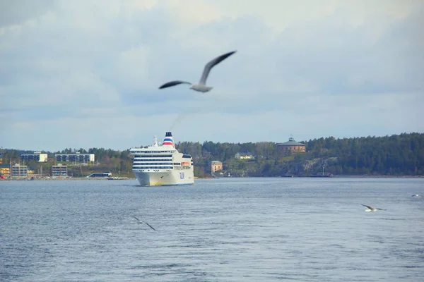 Transbordador de pasajeros, gaviotas voladoras y la costa sueca —  Fotos de Stock