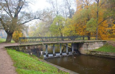 Pavlovsk parkta sisli sonbahar sabah