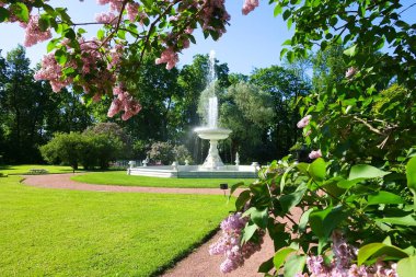 Ekaterininsky Park 'ta mermer çeşme vaza