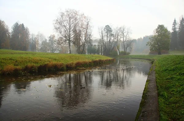 Mgliste jesienny poranek w Pavlovsk Park — Zdjęcie stockowe