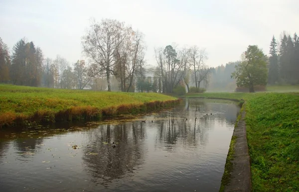 Mgliste jesienny poranek w Pavlovsk Park — Zdjęcie stockowe