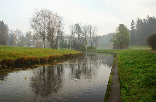 Nebliger Herbstmorgen im Pavlovsk-Park — Stockfoto