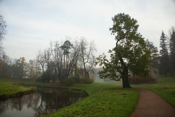 Nebliger Herbstmorgen im Pavlovsk-Park — Stockfoto