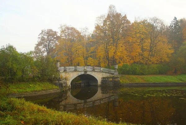 Jesienny spokojny poranek na rzece Slavyanka w Pavlovsk Park — Zdjęcie stockowe