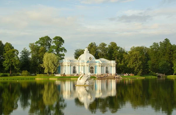 Nagy szürke hattyú a Big Pond a Catherine Park Tsarskoe Selo — Stock Fotó