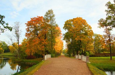 Sessiz bir eylül sabahı ve Tsarskoye Selo 'da yürüyüş.