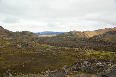 Serin bir İzlanda yazı sabahı