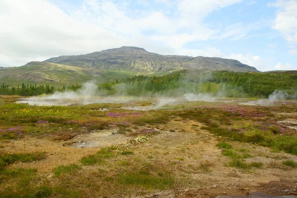 Geysers in the Haukadalur valley — Stock Photo, Image