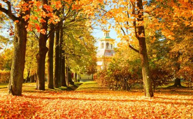 Güneşli bir Ekim sabahı ve Alexander Park 'ta yürüyüş.